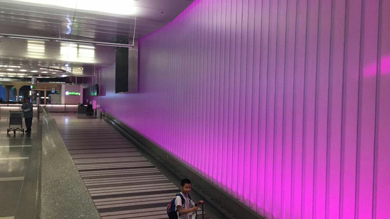 1561787872128746.jpg z06.jpg