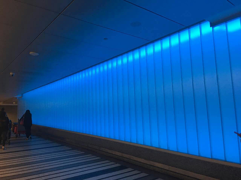 1561787889696982.jpg z08.jpg